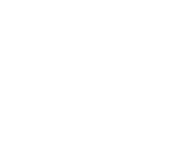 Kyoto Zuiko